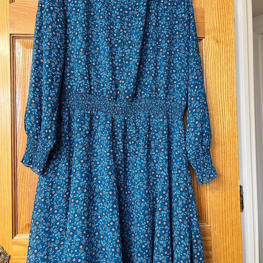 Floral Blue Long-Sleeve Dress
